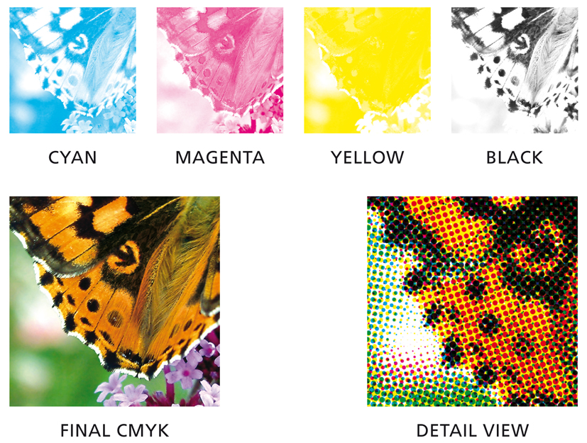 Black) | Print Wiki