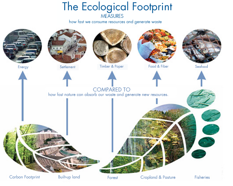 Carbon-Footprint-Reduction-1