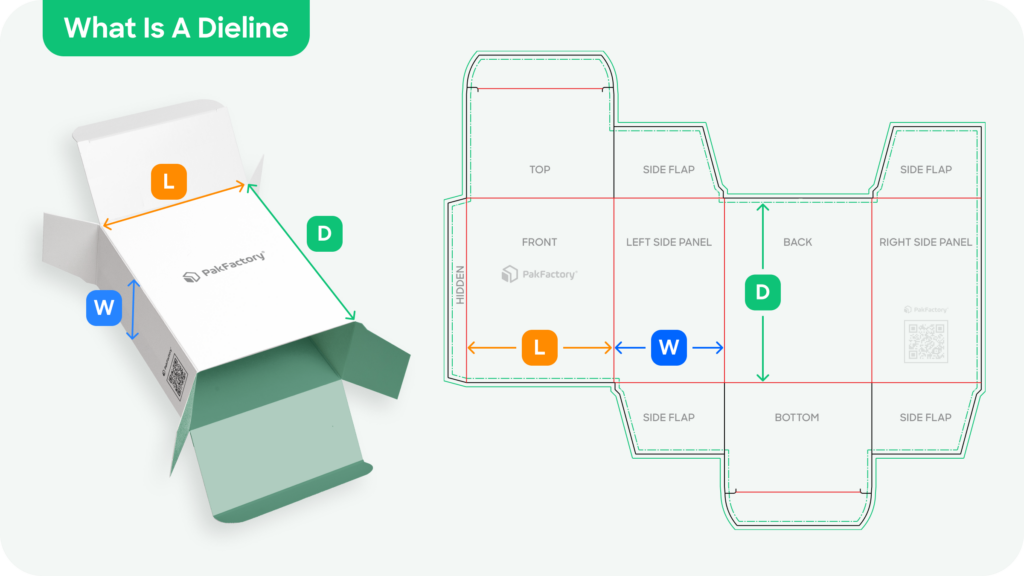 Dieline-1