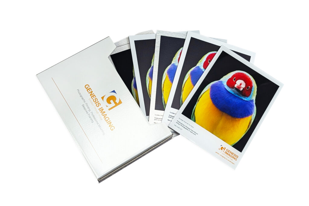 Mounting-Substrates-1