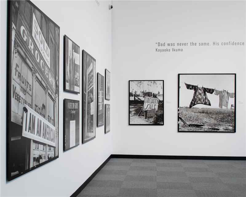 Museum-Board-14
