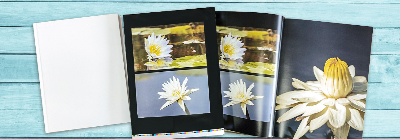 Offset-vs-Large-Format-4