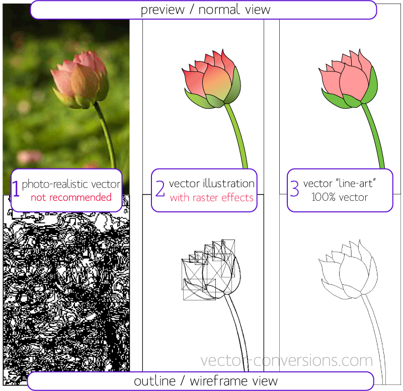 Raster vs Vector | Print Wiki